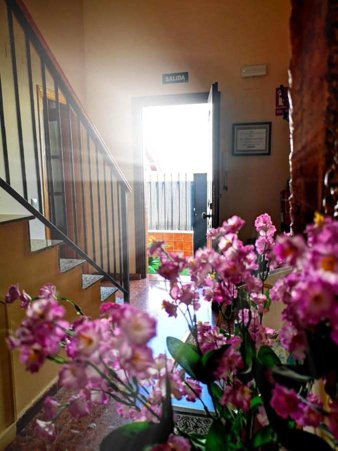 Apartament Casa Maria Olivenza Zewnętrze zdjęcie