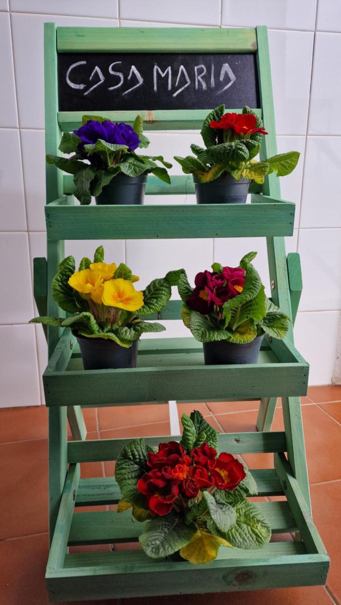 Apartament Casa Maria Olivenza Zewnętrze zdjęcie